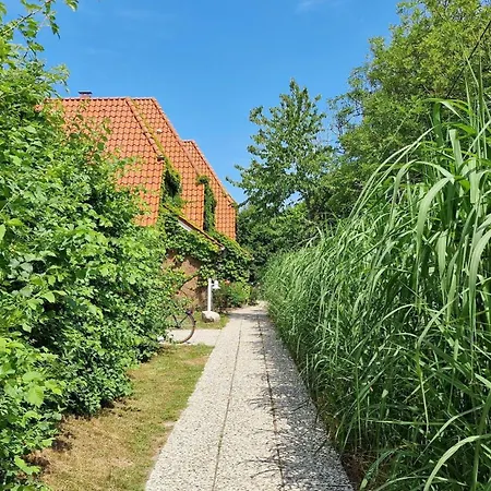 Luna-wohnung-34 Apartment *