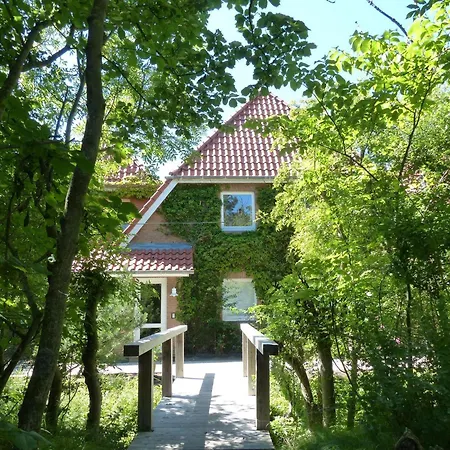 Luna-wohnung-34 Sankt Peter-Ording