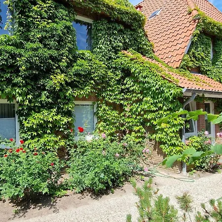 Luna-wohnung-34 Apartment *